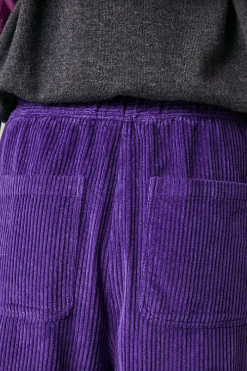 HARRIS WILSON FRANCK Pantalon femme en velours violet rouen