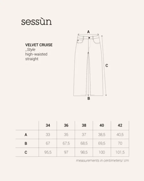 SESSUN VELVET CRUISE Pantalon Coffea – Image 8